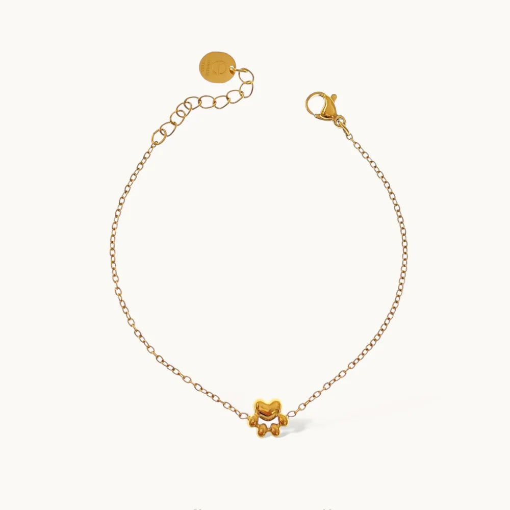 BAC-103-AA4566B Zampa-Bracciale in Acciaio