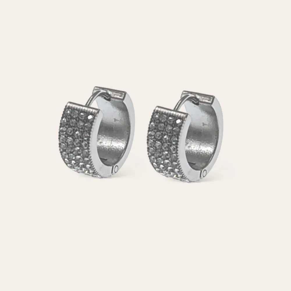 OAP-103-AA4660E Cerchio con Strass -Orecchini in Acciaio
