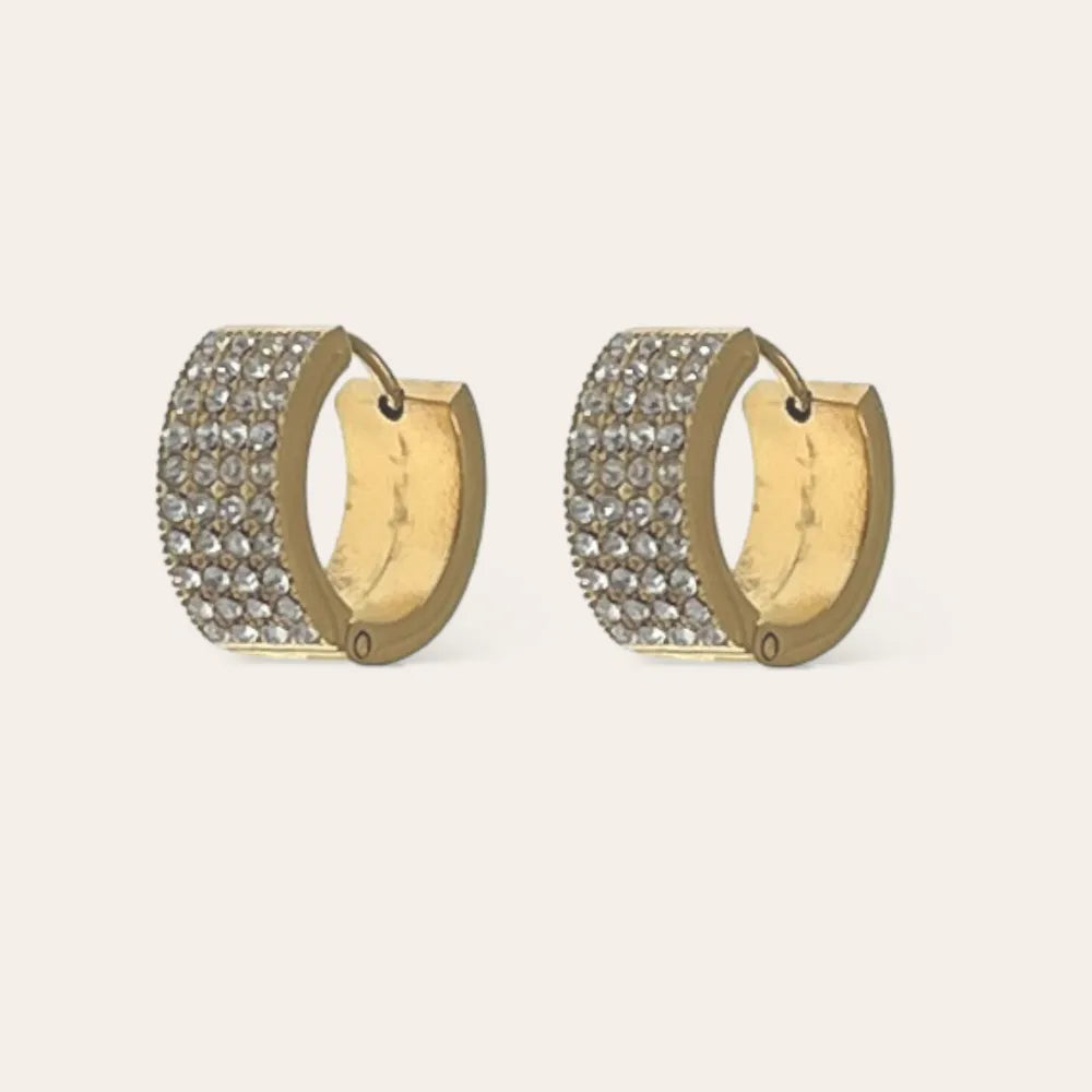 OAP-103-AA4660E Cerchio con Strass -Orecchini in Acciaio