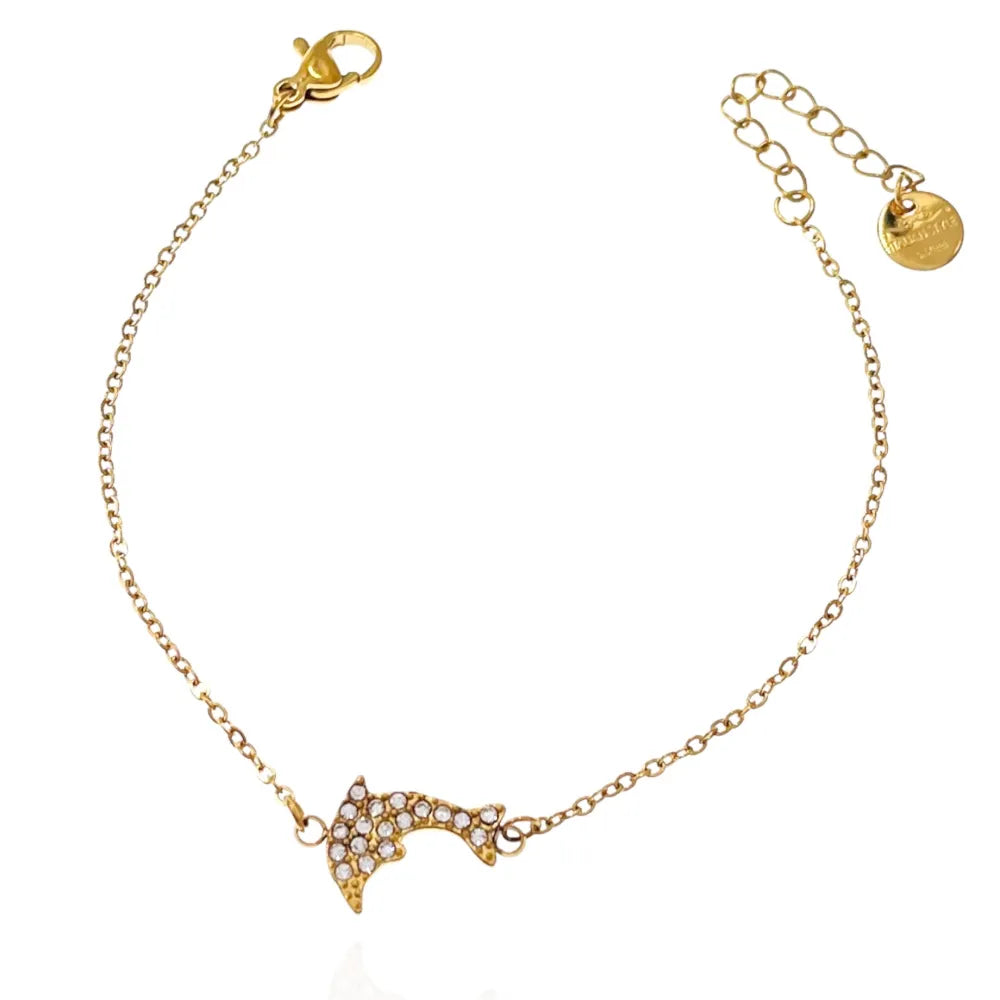 BAC-103-AA3485B Delfino-Bracciale in Acciaio con Chiusura