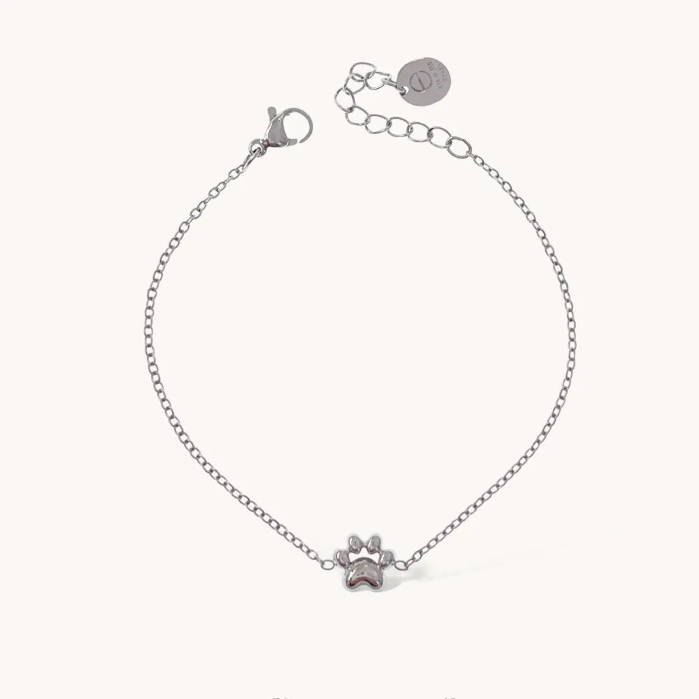 BAC-103-AA4566B Zampa-Bracciale in Acciaio
